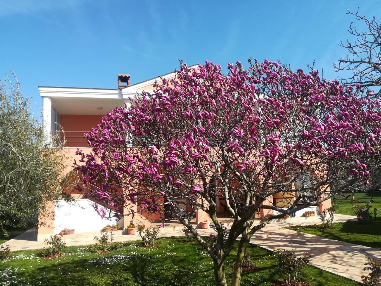 B&B Carmela Umag Exterior foto